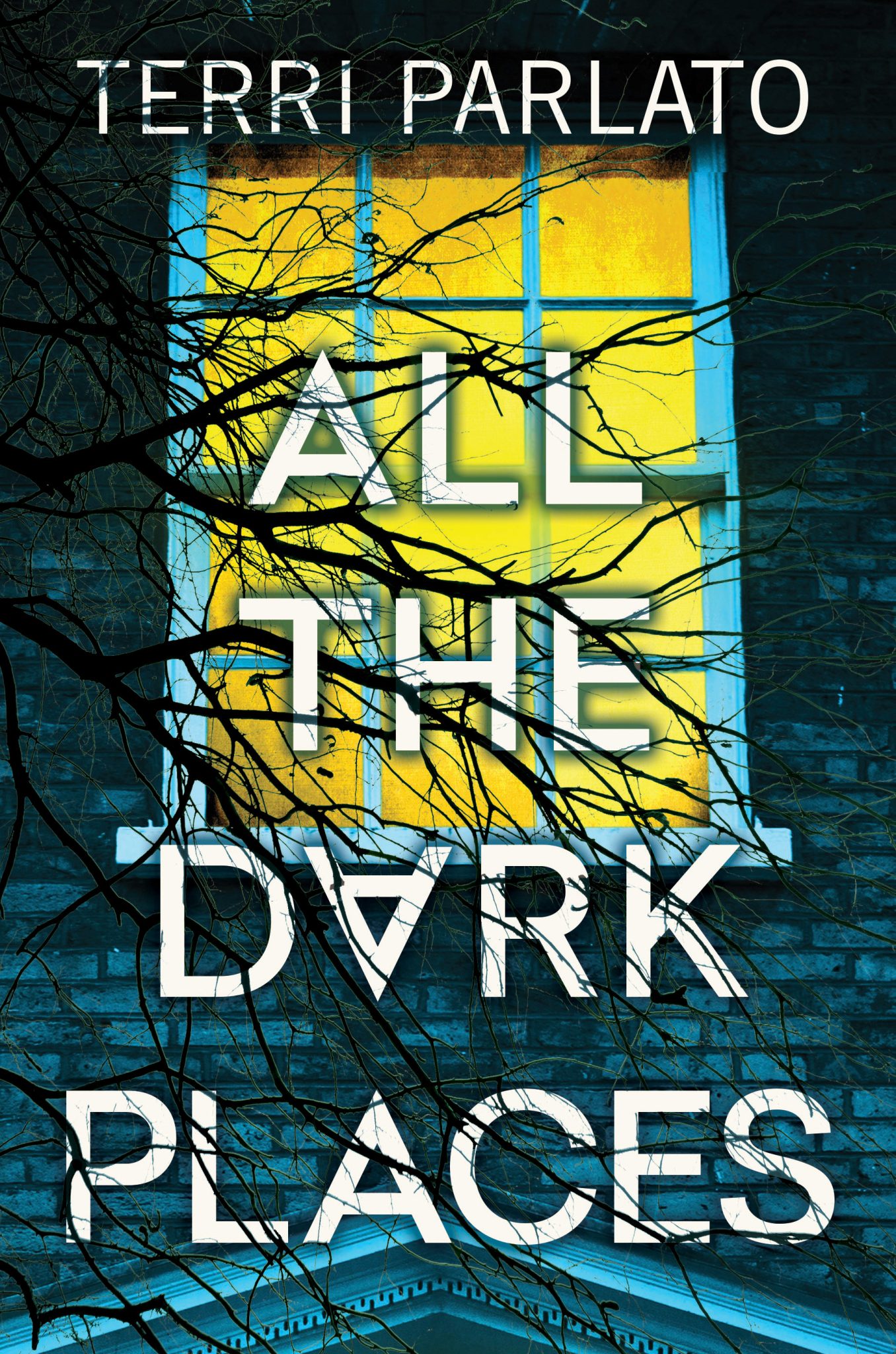 All the Dark Places Terri Parlato